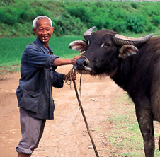 小型飼料顆粒機(jī),農(nóng)民圓夢(mèng)！