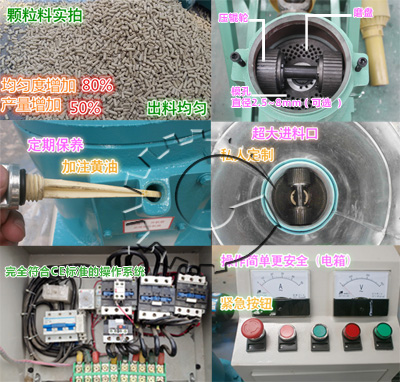 飼料顆粒機結(jié)構(gòu)細(xì)節(jié)圖