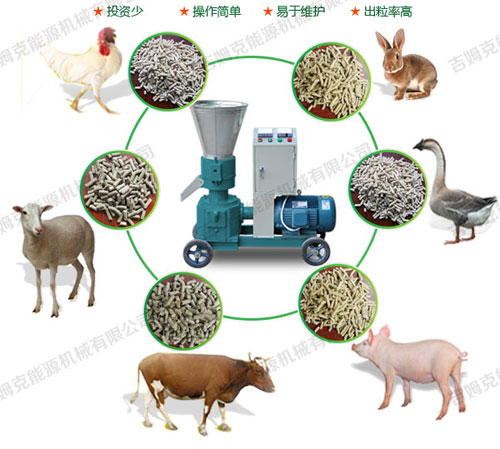 小型飼料顆粒機(jī)可壓制各種動物顆粒飼料 屬多功能飼料顆粒機(jī)